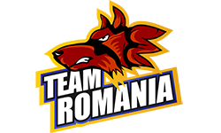 team logo