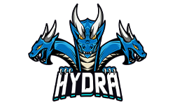 team logo