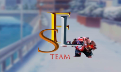 team logo