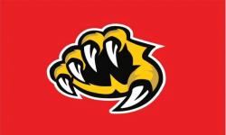 team logo