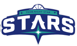 team logo