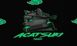 team logo