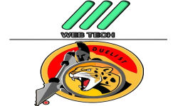 team logo