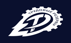 team logo